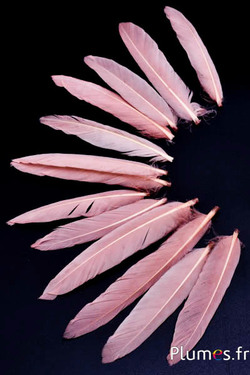 Gans Stift Kopf - 9-11 cm - creme rosa